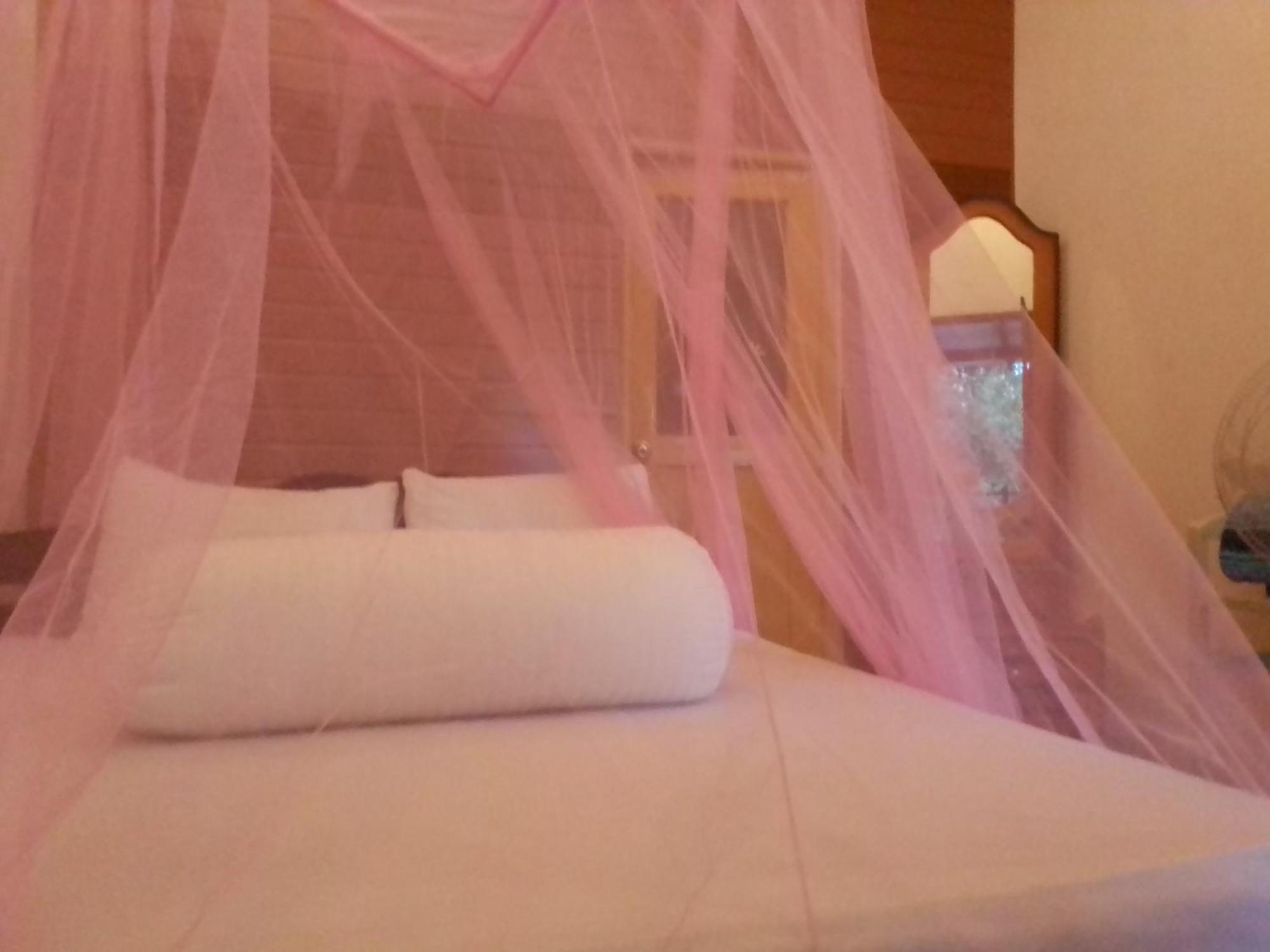 Talblick Homestay Procida Oda fotoğraf